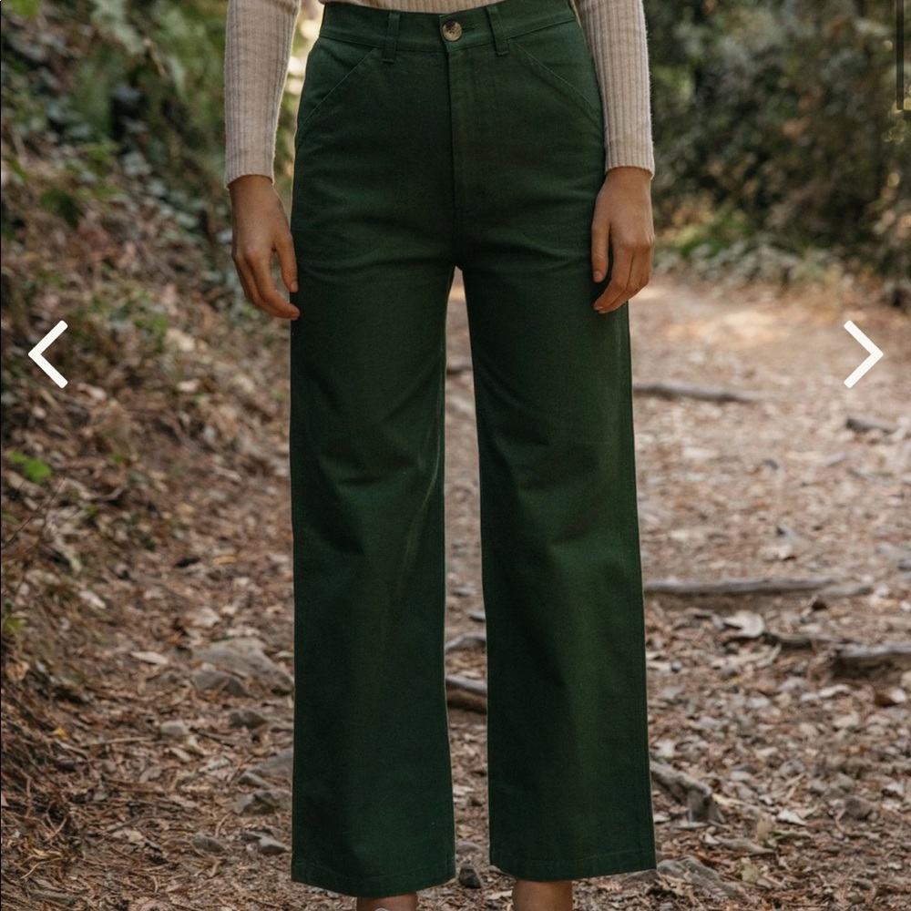 Mollusk California Painter Pants in forest Green, worn once